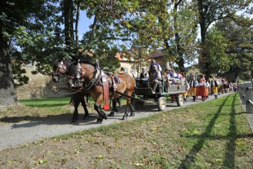 Obrázek - 
