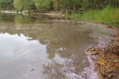 Foto: Hladinu plzeňského Kameňáku pokrývala růžová látka 