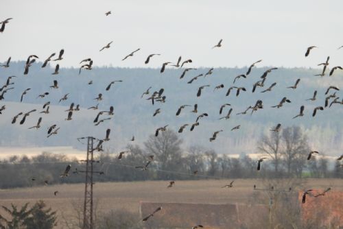 Obrázek - 