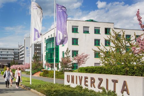 Foto: Jazyky, herní tvorba, nanomateriály. Letní školy ZČU lákají