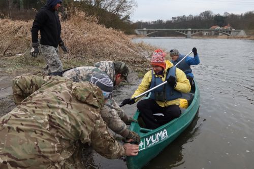 Foto: Kachny, kormoráni, ledňáčci. Na Berounce sčítali vodní ptáky