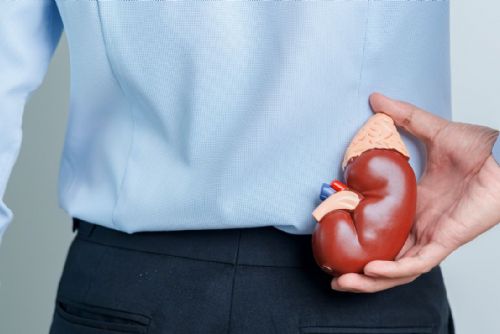 Foto: Klatovská nemocnice se připojí ke Světovému dni ledvin preventivní akcí