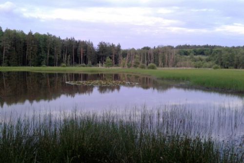 Foto: Kokotské rybníky přivítají v sobotu ochranáře