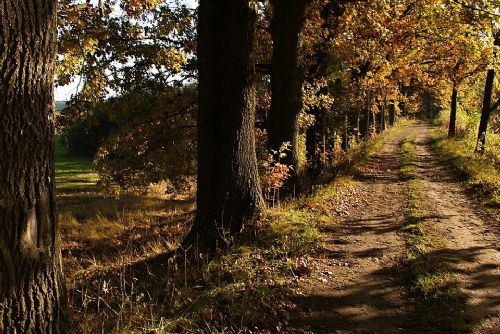 Foto: Kraj přispěje Cebivi na opravu hráze