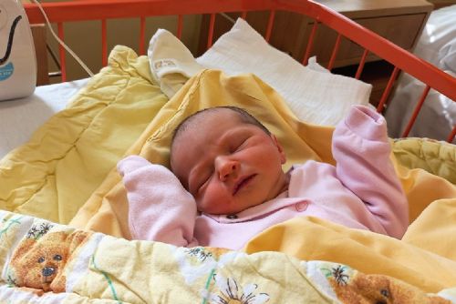 Foto: Kvůli válce porodila Marina dceru ve Stodě, 1200 kilometrů od domova