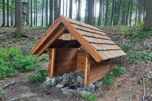 Foto: Lesníci obnovili tři studánky v lesích na Kokotsku, jež jsou v majetku Plzně