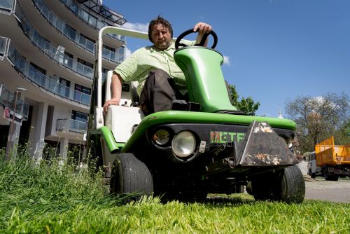 Foto: Letošní seče v Plzni proběhnou v jiném režimu