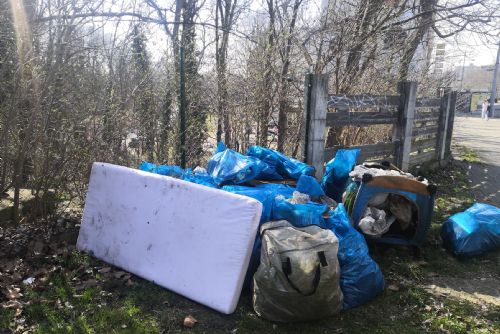 obrázek:Lidé bez domova uklidili oblast v centru Plzně