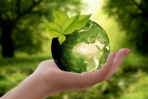 Foto: Město Plzeň podpoří environmentální vzdělávání dětí 
