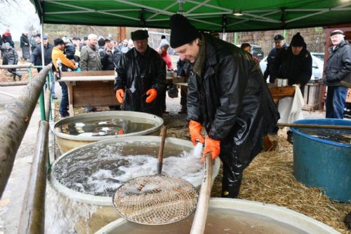 Obrázek - 