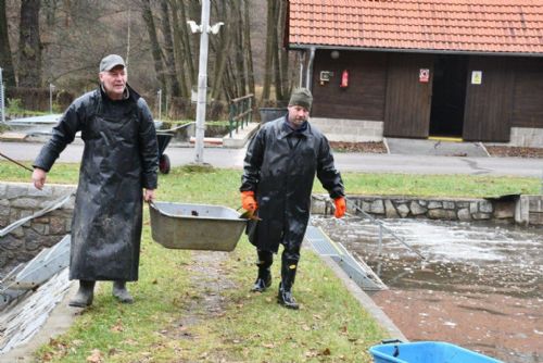 Obrázek - 