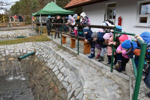 Obrázek - 