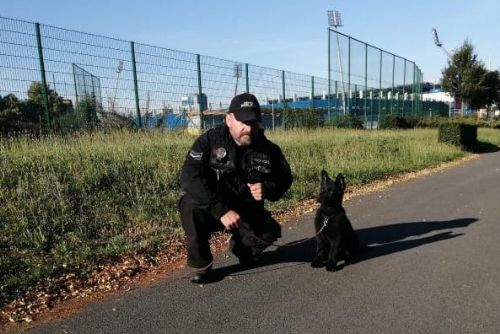 Foto: Městská policie představuje budoucí chlupatou posilu 