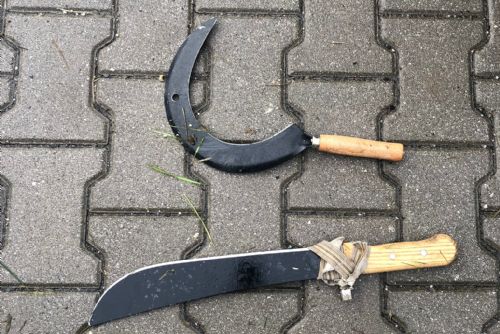 Foto: Muž v Černicích kolem sebe máchal mačetou