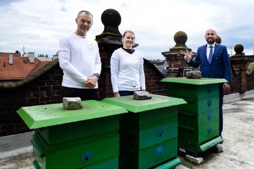 Foto: Na budovách magistrátu přibyly nové včelí úly 