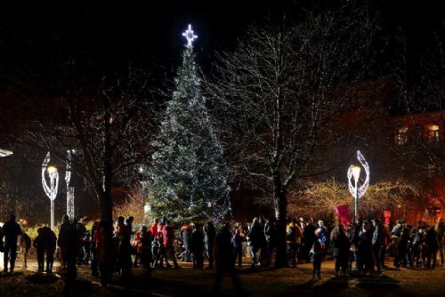 Foto:  Na Doubravce se vánoční strom rozzáří v sobotu 2. prosince 