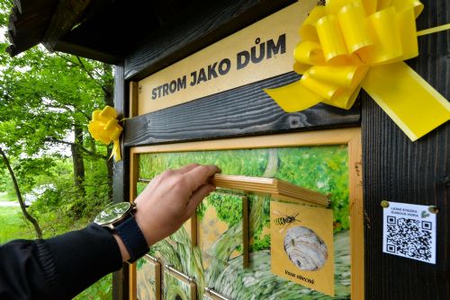 Foto: Na Dubové hoře v Liticích vznikla naučná stezka o lese a životě v něm