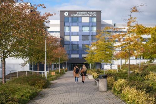 Foto: Na lékařské fakultě v Plzni poprvé studují radiologičtí asistenti