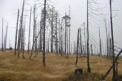 Foto: Na Šumavě zavřeli část stezky k Předním Paštím