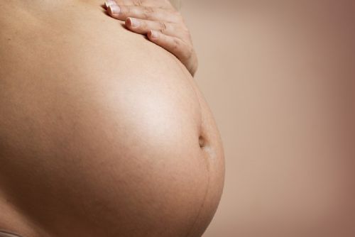 Foto: Nález mrtvého plodu v Plzni: šlo o potrat ve 22. týdnu