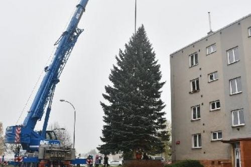 Obrázek - 