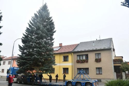 Obrázek - 