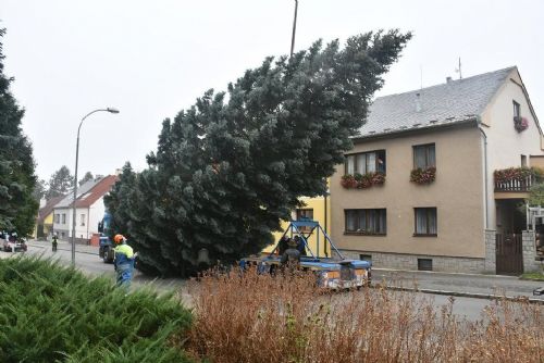 Obrázek - 