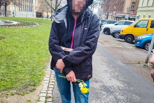 Foto: Narcisky ze záhonu v sadech si chtěla natrhat domů
