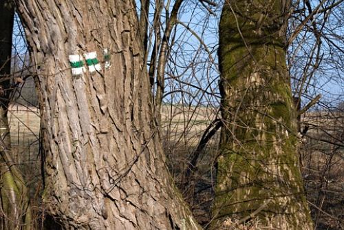 Foto: Naučná stezka v Rabštejně se dočká obnovy