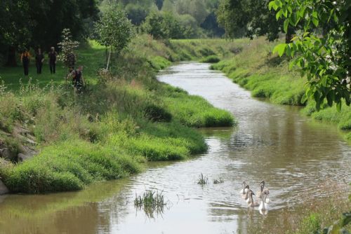 Obrázek - 