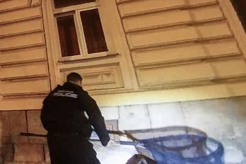 Foto: Noční Plzní kráčel bobr, po odchytu skončil zpátky v řece