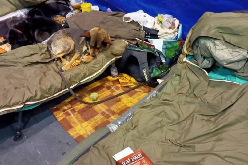 Foto: O krizové středisko byl v mrazech zájem, denně v něm přespalo 70 bezdomovců