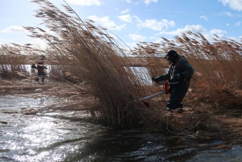 Foto: Ochránci přírody i ve vichru posekali rákosí v rezervaci Nový rybník