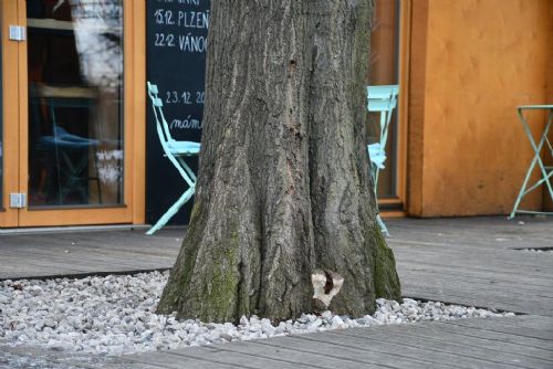 Obrázek - 