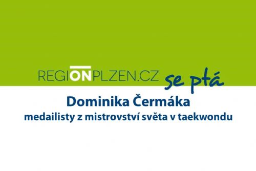 Obrázek - 