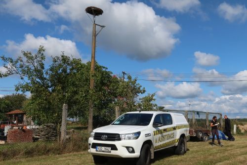 Foto: Planá, Brod. Pro zvířecí záchranáře začíná sezona úprav čapích hnízd