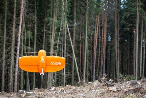 Foto: Plzeň bojuje proti kůrovci, v městských lesích pomáhají drony