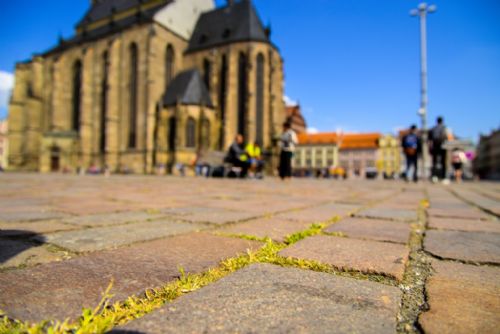 Foto: Plzeň koupí ekologický stroj na údržbu zeleně, bude čistit i graffiti či mobiliář