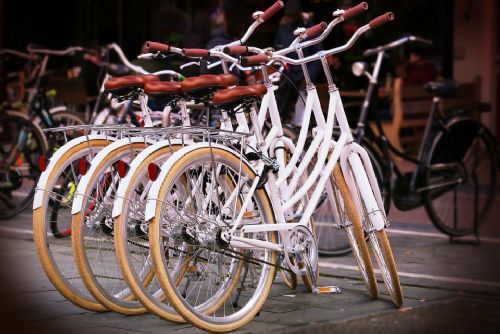 Foto: Plzeň podpoří bikesharing i obnovy školních zahrad