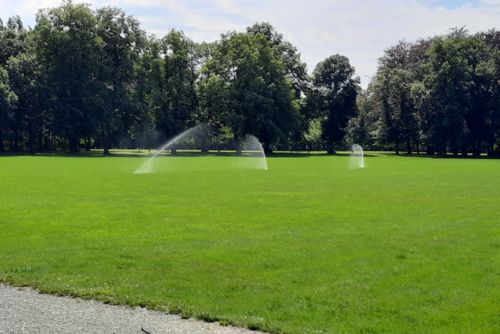 Foto: Plzeň podpořila chytré zavlažování, technologii používá v parcích