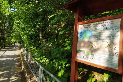 Foto: Stop vandalům na Boleváku a jinde. Plzeň zvyšuje dohled