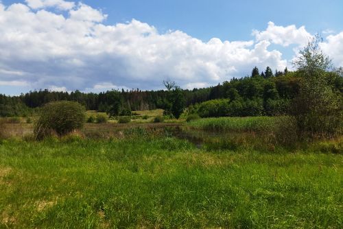 Foto: Plzeň revitalizuje rekreační oblasti, obnoví Podhorní kokotský rybník