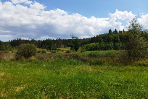 Foto: Plzeň revitalizuje rekreační oblasti, obnoví Podhorní kokotský rybník