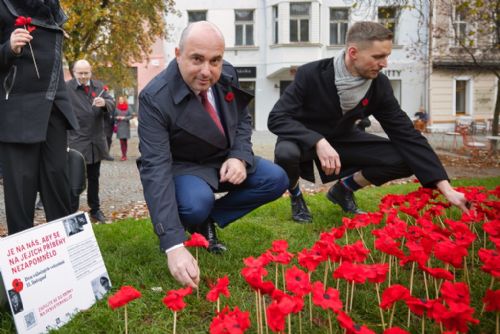 Foto: Plzeň uctila veterány, květy vlčího máku připomínají jejich hrdinství