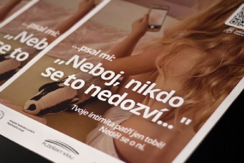 Foto: Plzeňská konference řešila nejen domácí násilí