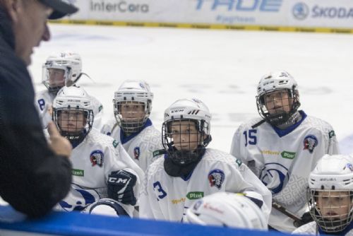 Foto: Plzeňské sportovní akademie získají od města dotace