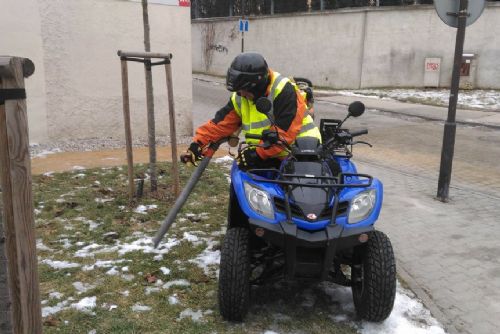 Foto: Plzeňský centrální obvod se zaměří na úklid „po pejscích“