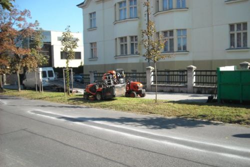 Foto: Plzeňský centrální obvod vydal pokyn ke třetí seči trávy