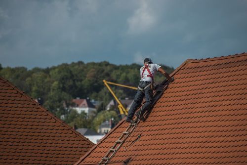 Foto: Plzeňský kraj trápí nedostatek pokrývačů