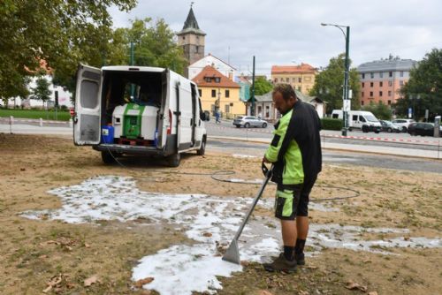 Foto: Plzeňští městští zahradníci hubí plevel ekologickou metodou